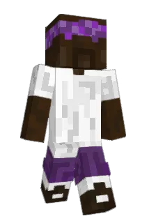 Conway_Tweety Minecraft avatar full body