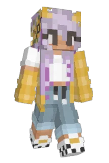 Cook0513 Minecraft avatar full body