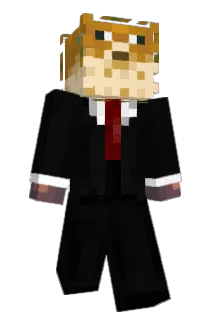 Cook13Craft2 Minecraft avatar full body