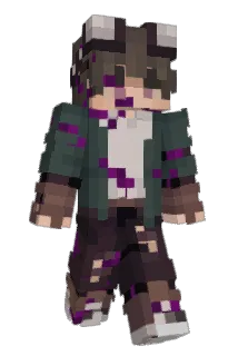 Minecraft-Avatar von CookieGamer4321: ganzer Körper