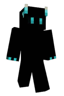 Cookieheld2022 Minecraft avatar full body