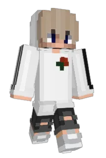 Cooking2hard Minecraft avatar full body