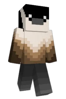 CoolDoggo871 Minecraft avatar full body