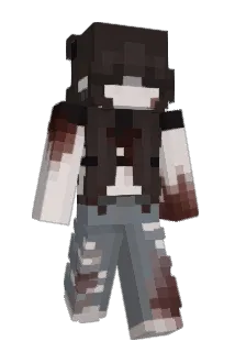 CoolGuy911 Minecraft avatar full body