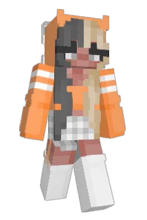 Coolcatyt Minecraft avatar full body