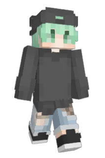Coolerster Minecraft avatar full body