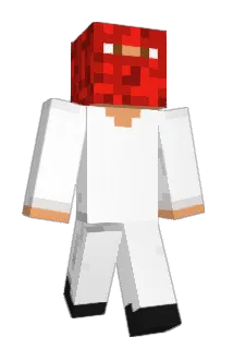 Coolguy17s Minecraft avatar full body
