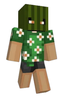 Coolmash Minecraft avatar full body
