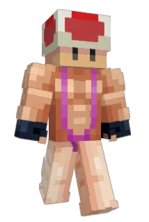 Coolsl Minecraft avatar full body