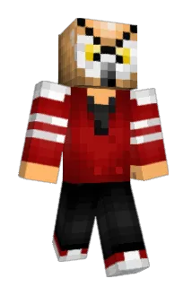 CoolzLJ Minecraft avatar full body
