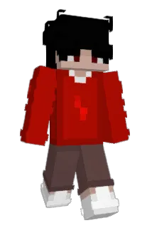 Coolzins Minecraft avatar full body
