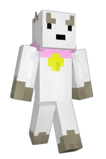 Coop1n Minecraft avatar full body