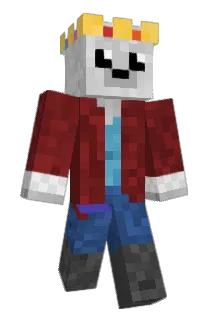 Copperseal Minecraft avatar full body