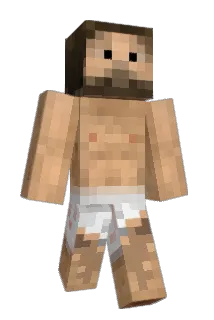 Cor3000000323 Minecraft avatar full body