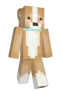 CorgiTan Minecraft avatar full body