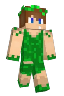 Cormaacc Minecraft avatar full body