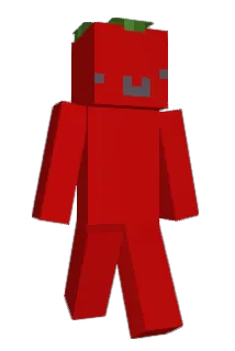 Corndorm Minecraft avatar full body