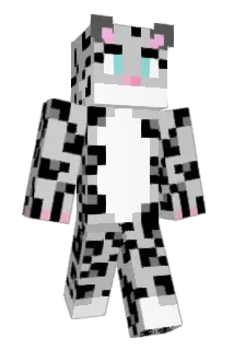 Corraide Minecraft avatar full body