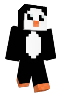 Cosmo_Fly Minecraft avatar full body
