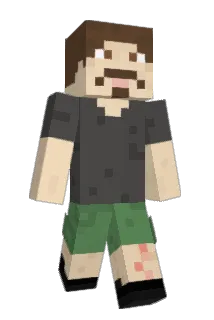 CostcoPigeon Minecraft avatar full body