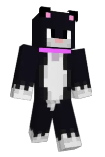 Cotita Minecraft avatar full body
