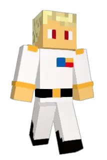 Cottoinc Minecraft avatar full body