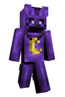 CounterCat Minecraft avatar full body