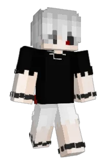 CptNusuppe375 Minecraft avatar full body