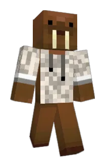 CptObviousYT Minecraft avatar full body