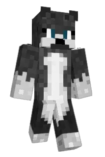 Cqlliin Minecraft avatar full body