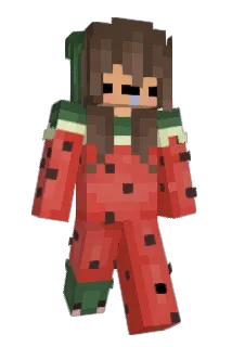 CrafterAda Minecraft avatar full body