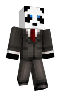 Craftie65 Minecraft avatar full body