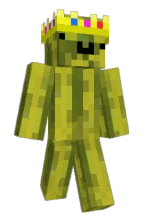 CraftierRacer30 Minecraft avatar full body