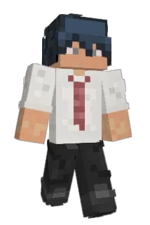 Craftpro729 Minecraft avatar full body