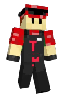 CraftsDmen Minecraft avatar full body