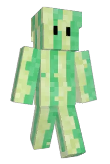 CraigslistMom Minecraft avatar full body