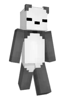 CrazyGuy960 Minecraft avatar full body