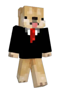 CrazySL Minecraft avatar full body