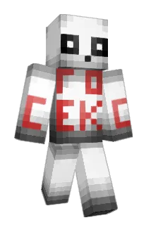 CrazyeToxic Minecraft avatar full body