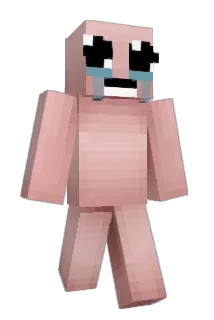 Crazzyccat Minecraft avatar full body