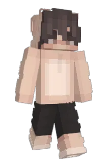 CreeperPartyHD Minecraft avatar full body