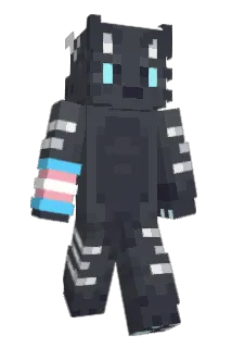CreepersX17 Minecraft avatar full body