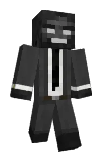 Crippless Minecraft avatar full body