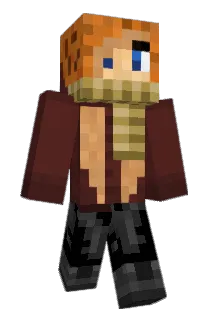 Crowlded Minecraft avatar full body