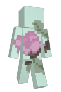 CrowsHere Minecraft avatar full body