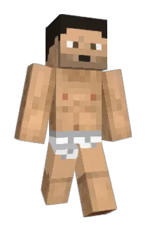 Crylorz Minecraft avatar full body