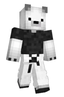 CsN102 Minecraft avatar full body