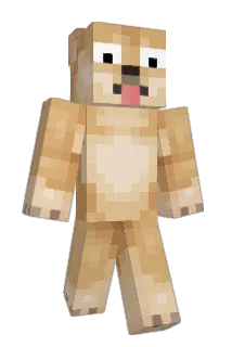 Csyonfan Minecraft avatar full body