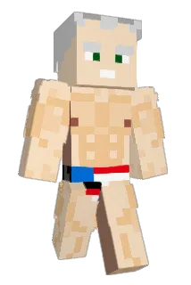 Cthrinni3 Minecraft avatar full body