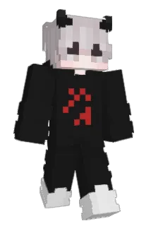 Ctsstzg Minecraft avatar full body